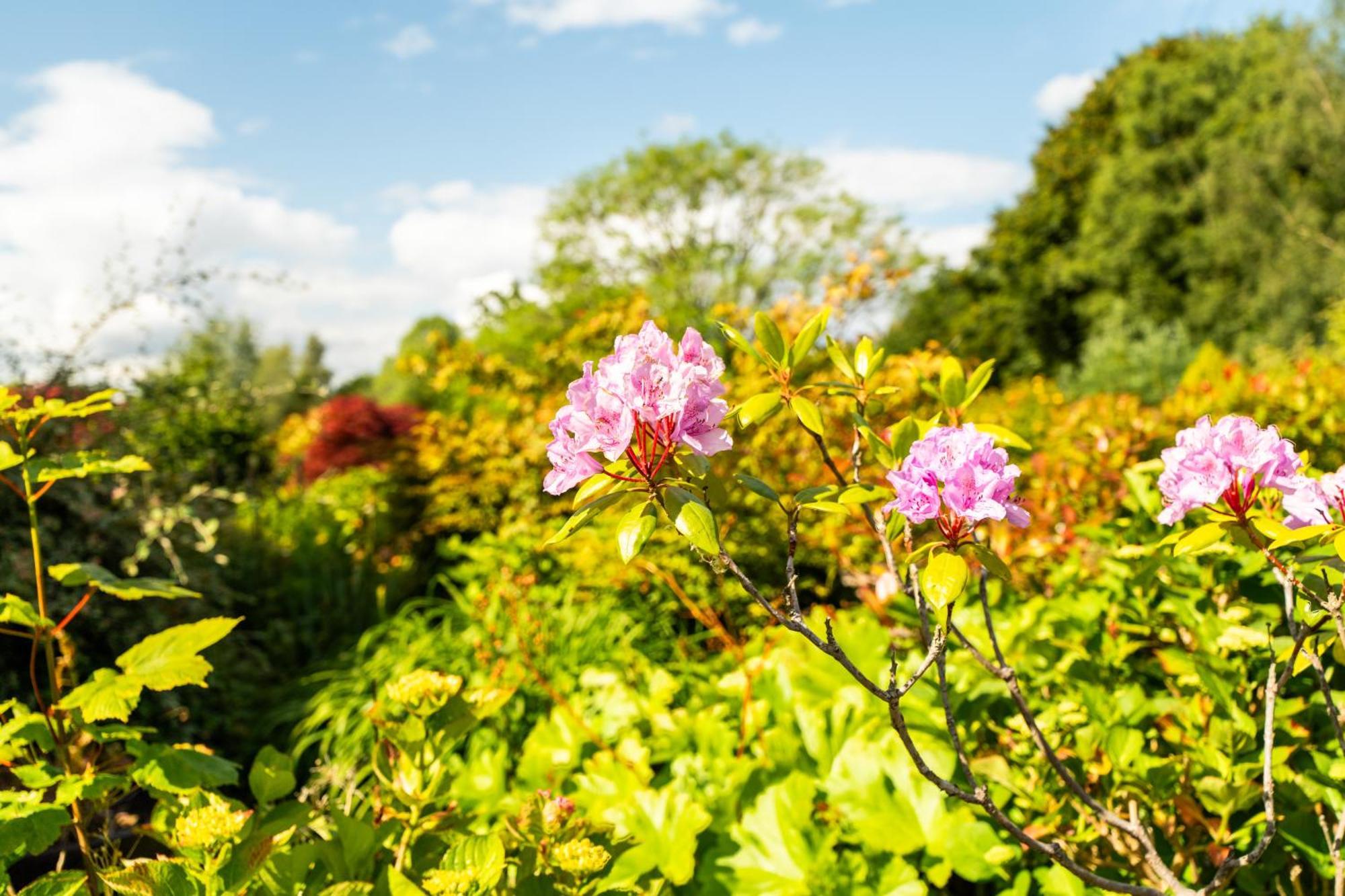 The House @ Sitwell Arms Hotel Renishaw 外观 照片